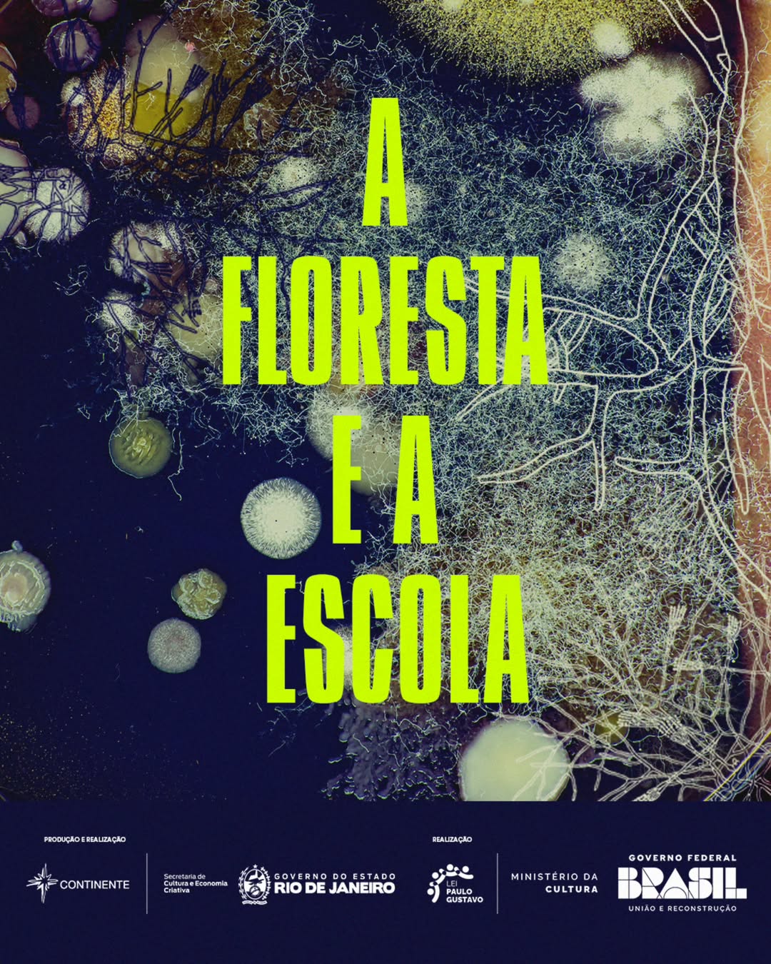 A floresta e a escola (2025)